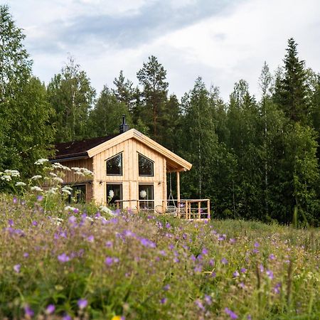 Blueberry Lodge 5 Personnes Mjolan Eksteriør billede