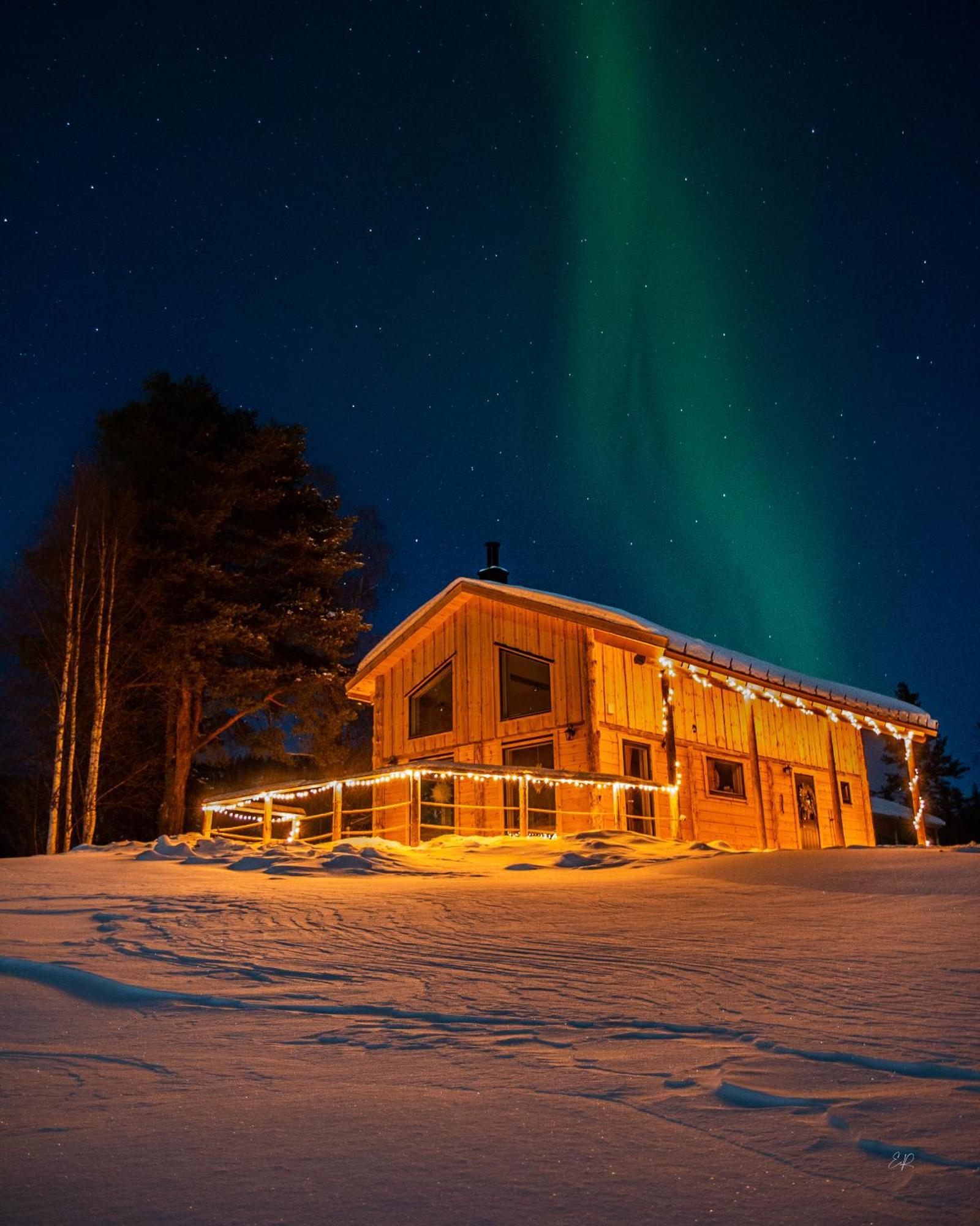 Blueberry Lodge 5 Personnes Mjolan Eksteriør billede