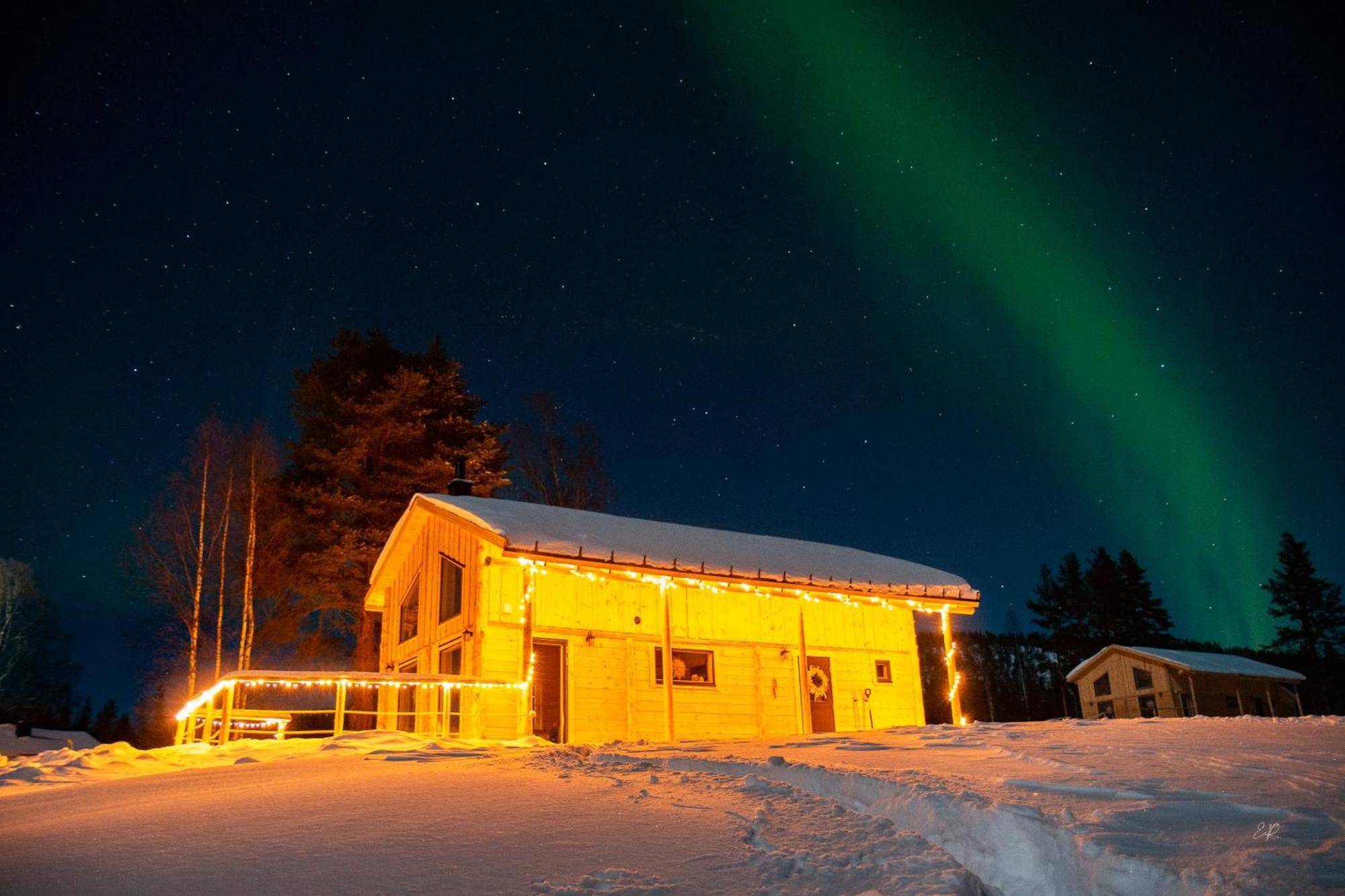 Blueberry Lodge 5 Personnes Mjolan Eksteriør billede