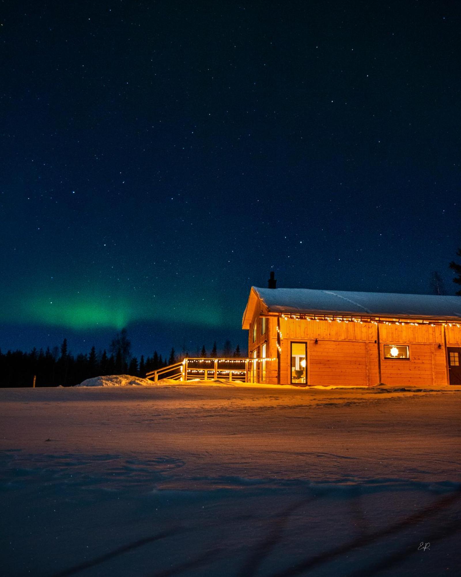 Blueberry Lodge 5 Personnes Mjolan Eksteriør billede