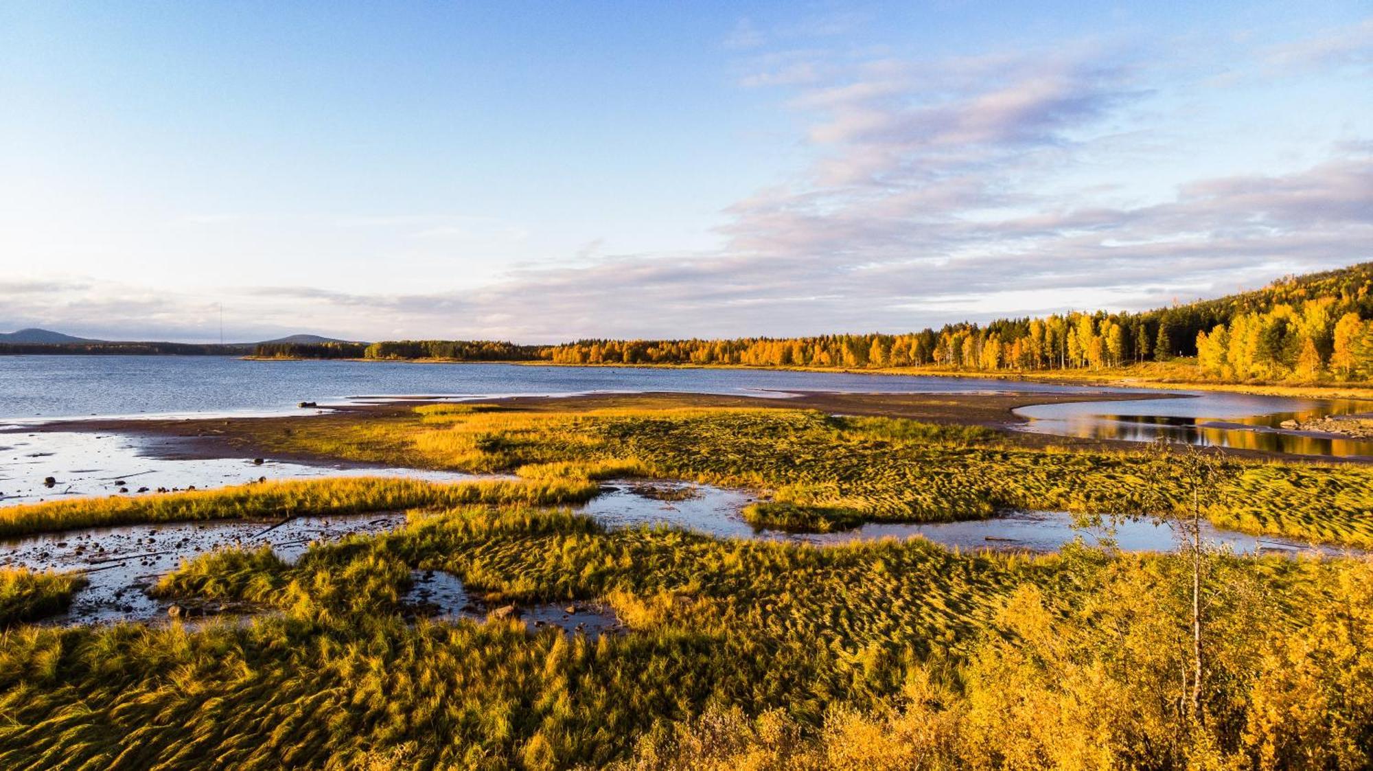 Blueberry Lodge 5 Personnes Mjolan Eksteriør billede